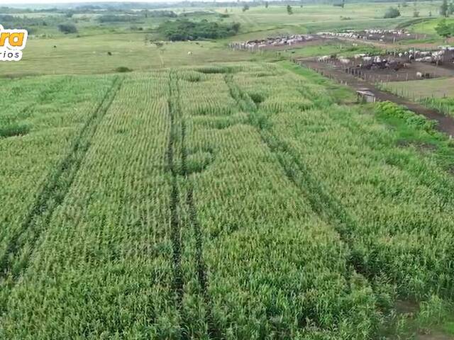 #3153 - Chácara para Venda em Paragominas - PA - 2