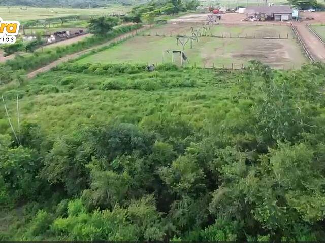 #3153 - Chácara para Venda em Paragominas - PA - 3