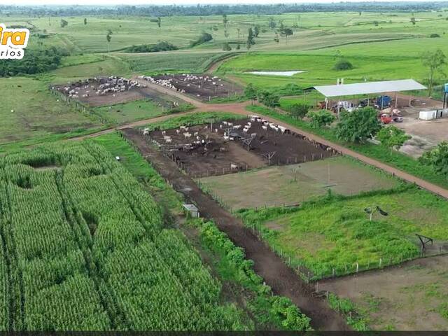 #3153 - Chácara para Venda em Paragominas - PA - 1