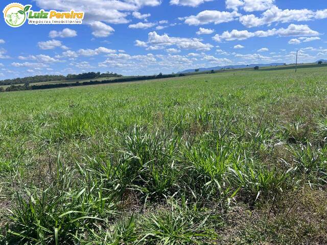 Fazenda para Venda em Conceição do Tocantins - 5