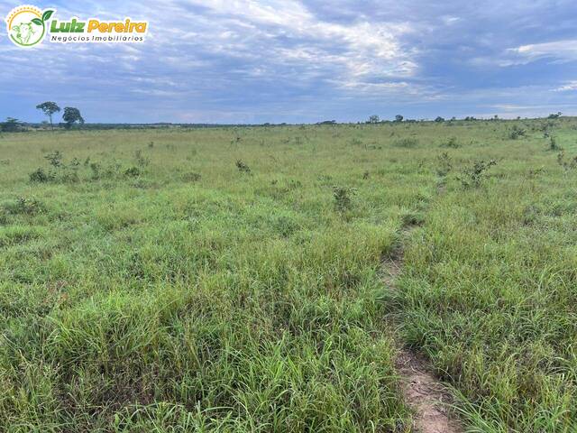 #3155 - Fazenda para Venda em Conceição do Tocantins - TO - 1