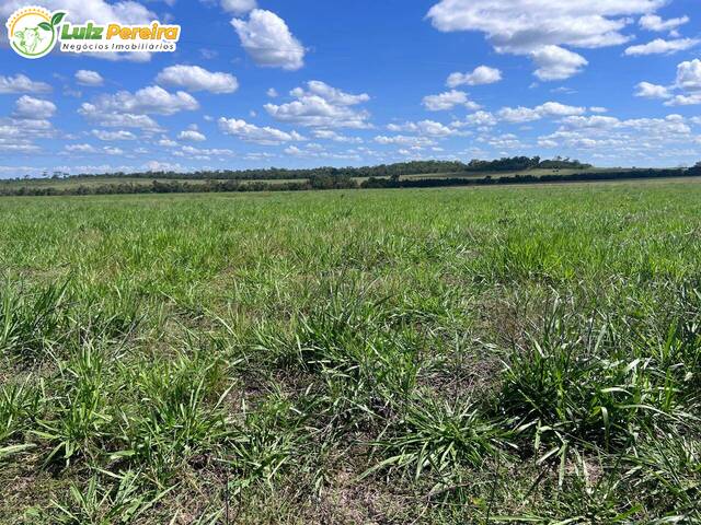 Fazenda para Venda em Conceição do Tocantins - 4