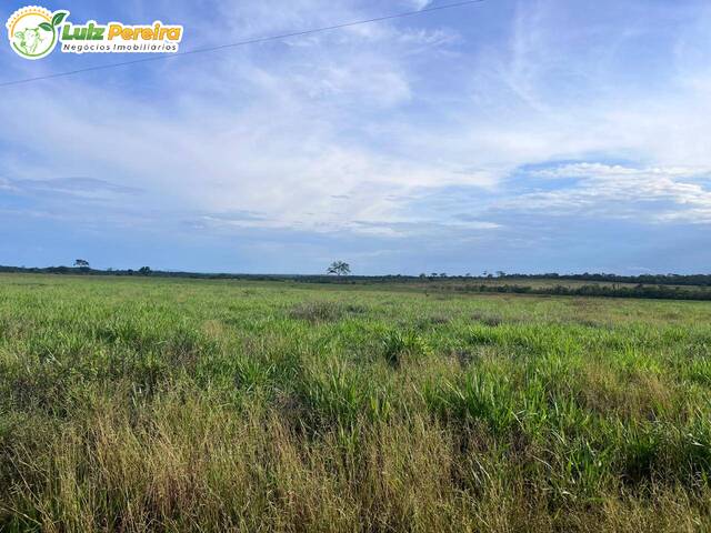 #3155 - Fazenda para Venda em Conceição do Tocantins - TO - 2