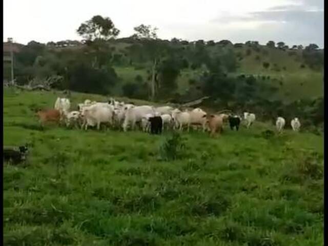 #3164 - Chácara para Venda em Guaraí - TO - 1