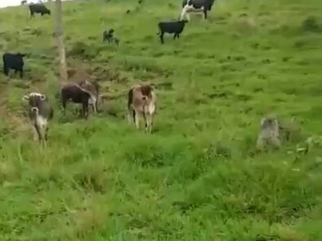 #3164 - Chácara para Venda em Guaraí - TO - 2