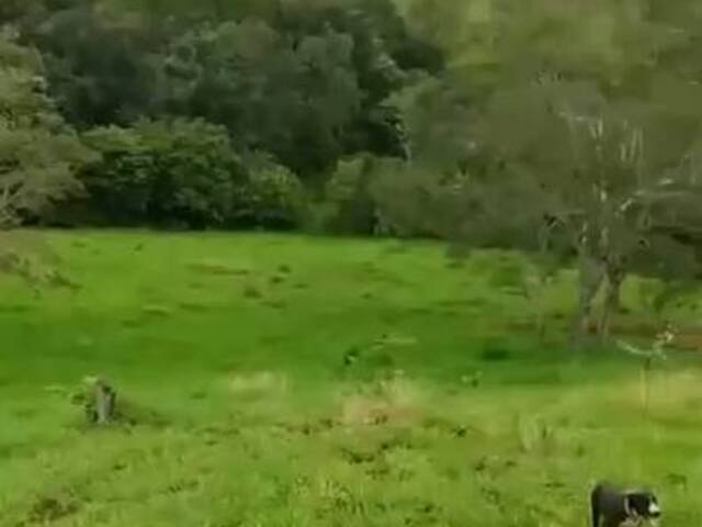 #3164 - Chácara para Venda em Guaraí - TO - 3