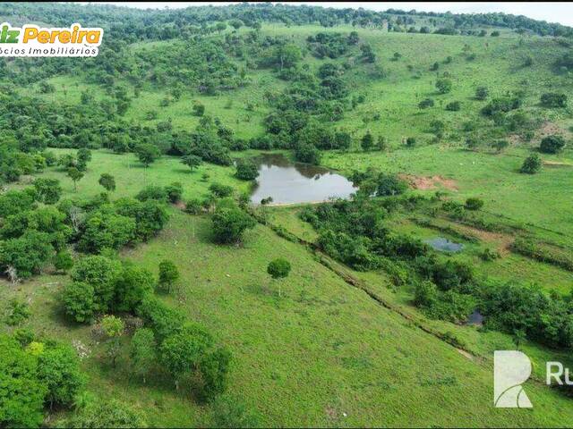 Fazenda para Venda em Guaraí - 4