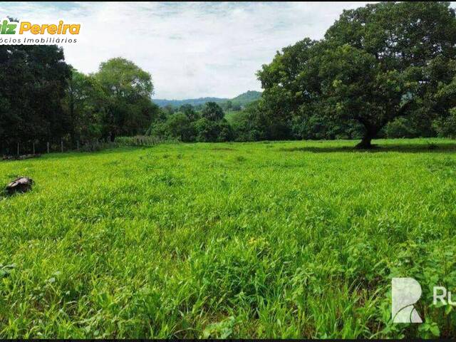 Fazenda para Venda em Guaraí - 5