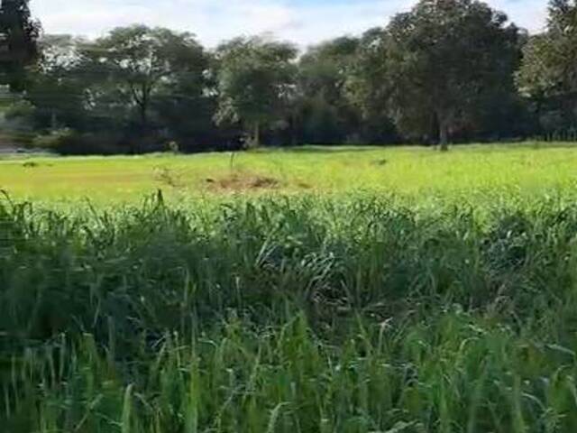 Fazenda para Venda em Barão de Melgaço - 4