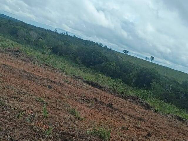 Fazenda para Venda em Babaçulândia - 4