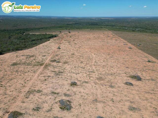 #3112 - Fazenda para Venda em Babaçulândia - TO - 2
