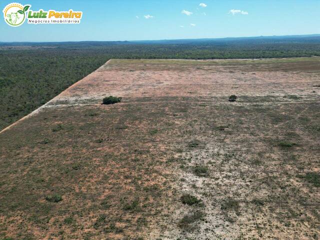 #3112 - Fazenda para Venda em Babaçulândia - TO - 3
