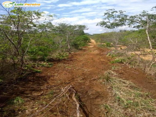 Fazenda para Venda em Benedito Leite - 2