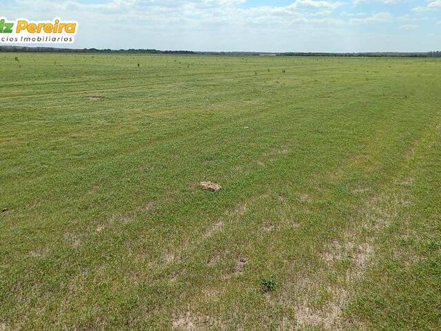 #3168 - Fazenda para Venda em Balsas - MA - 2