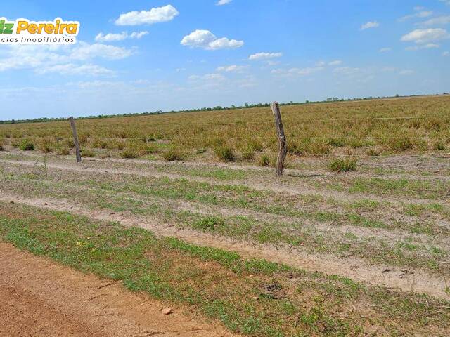 #3168 - Fazenda para Venda em Balsas - MA - 3