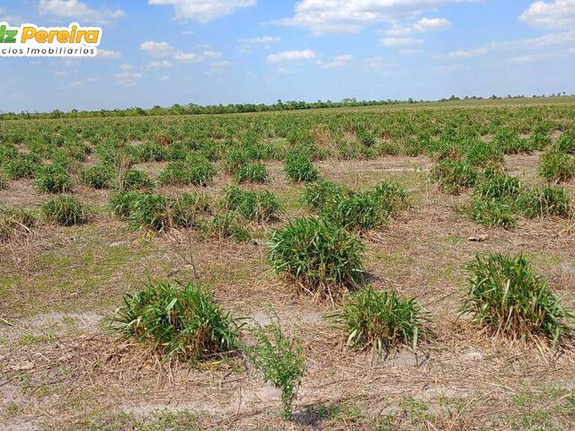 Fazenda para Venda em Balsas - 4