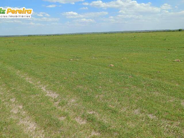 #3168 - Fazenda para Venda em Balsas - MA - 3