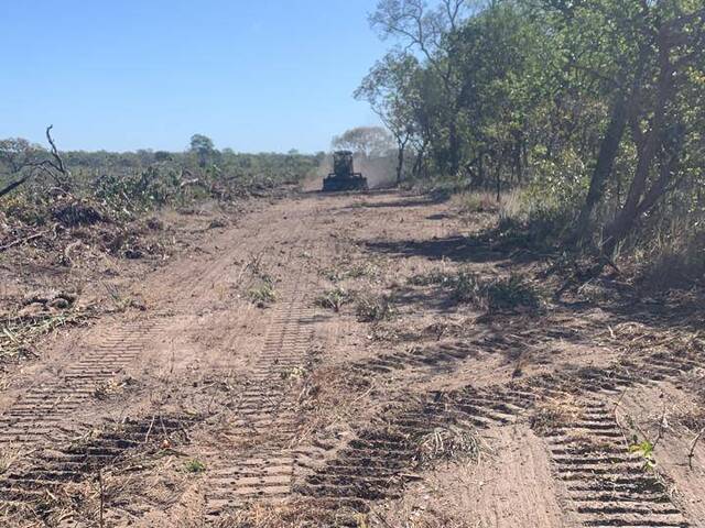 #3169 - Fazenda para Venda em Riachão - MA - 1