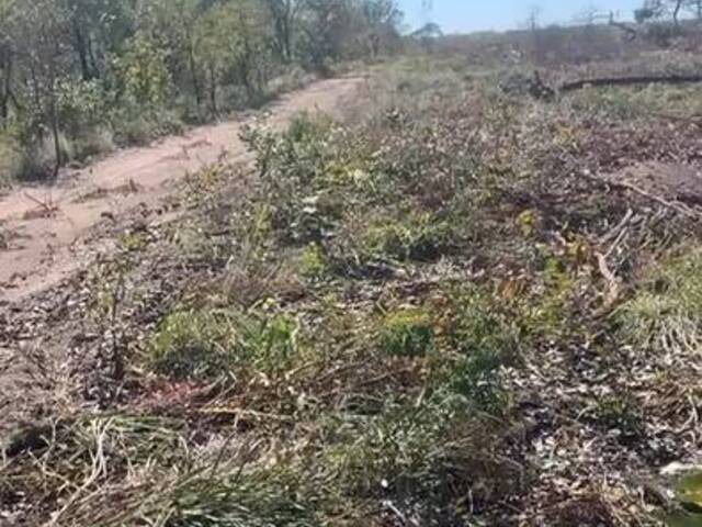 Fazenda para Venda em Riachão - 4