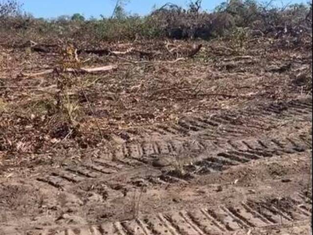 #3169 - Fazenda para Venda em Riachão - MA - 3