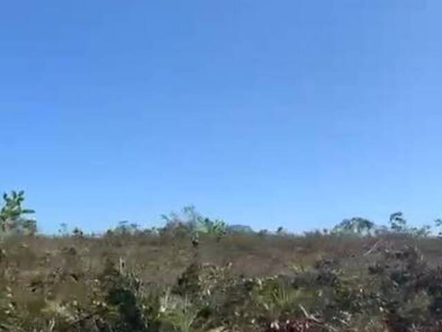 Fazenda para Venda em Riachão - 5