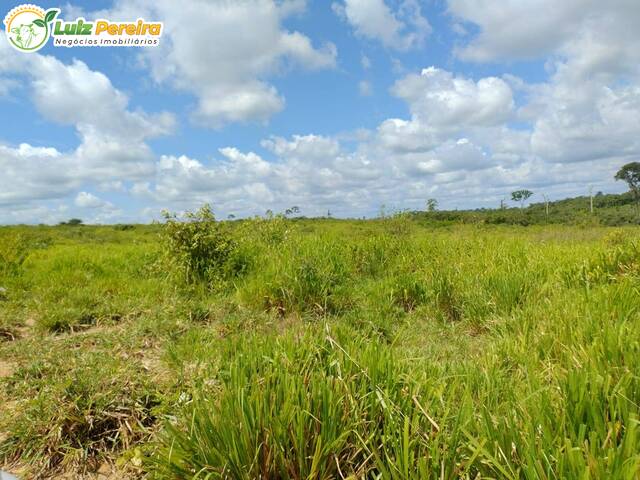 Fazenda para Venda em Santarém - 4