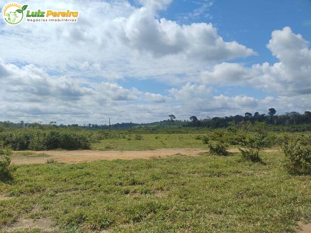 #3170 - Fazenda para Venda em Santarém - PA