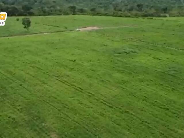 Fazenda para Venda em Santarém - 5