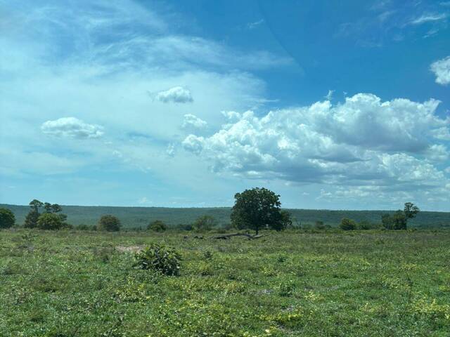 Fazenda para Venda em Pedro Gomes - 4