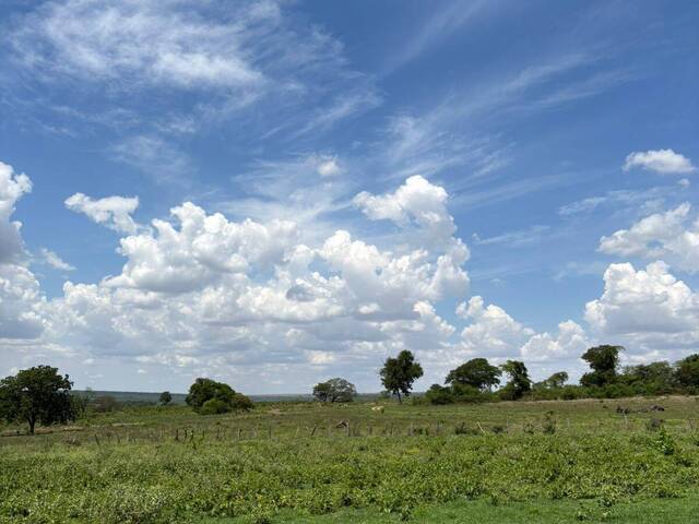 #3172 - Fazenda para Venda em Pedro Gomes - MS - 3