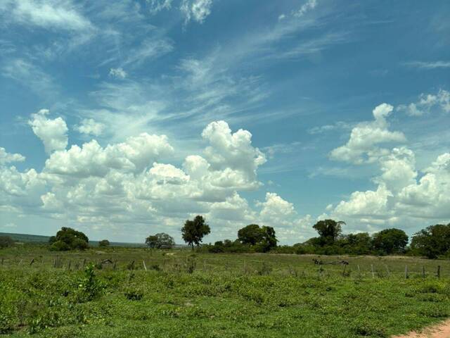 #3172 - Fazenda para Venda em Pedro Gomes - MS - 2