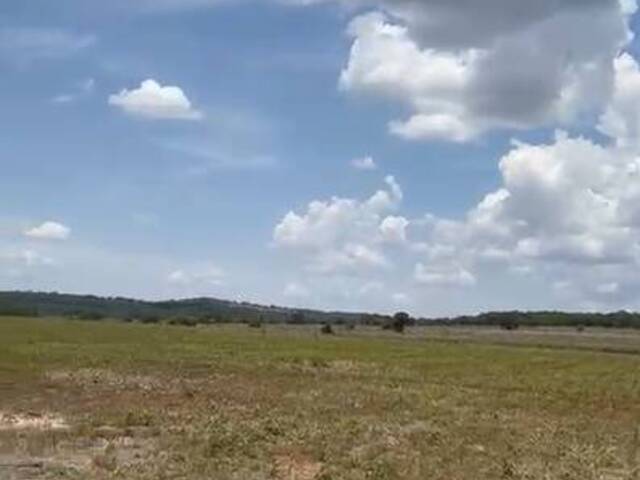 Fazenda para Venda em Pedro Gomes - 5