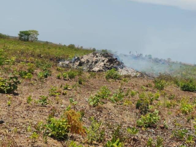 #3173 - Fazenda para Venda em Conceição do Tocantins - TO - 1
