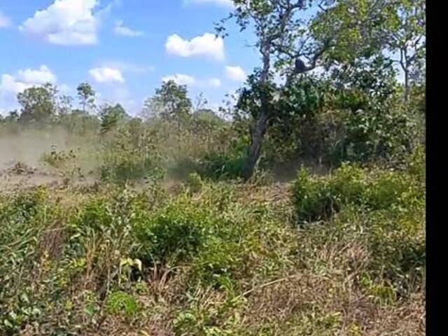 #3173 - Fazenda para Venda em Conceição do Tocantins - TO - 3