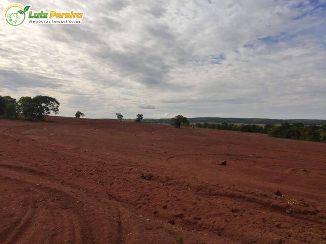 Fazenda para Venda em Sonora - 5