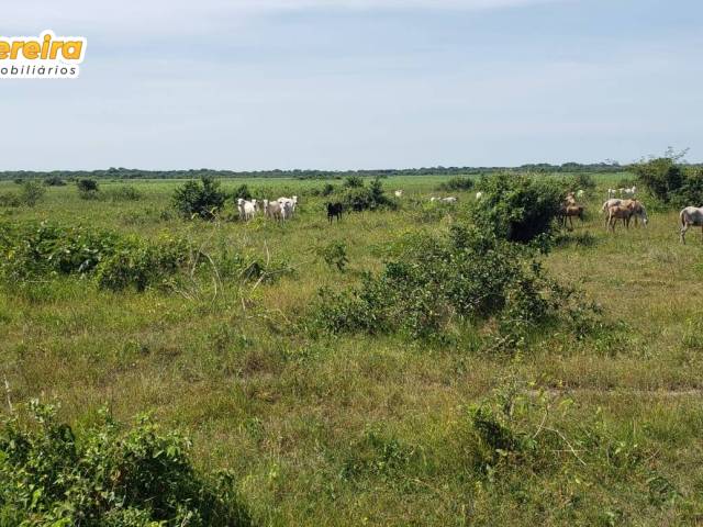 #3177 - Fazenda para Venda em Poconé - MT - 1