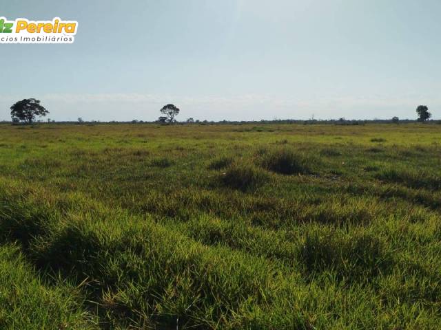 #3176 - Fazenda para Venda em Rio Negro - MS - 1