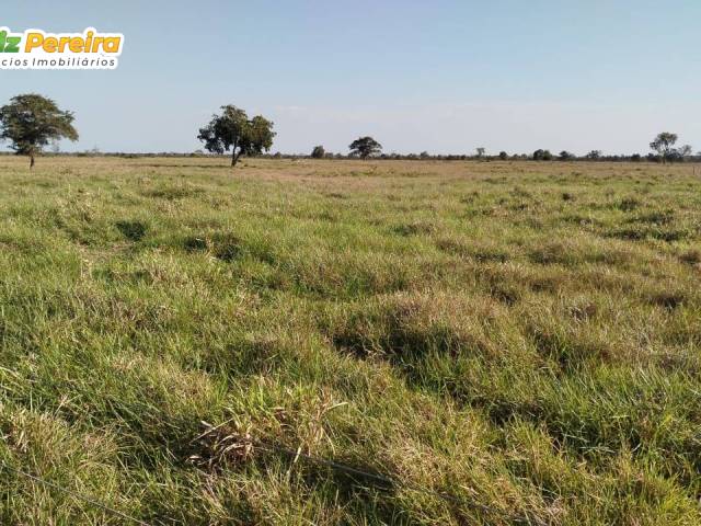 #3176 - Fazenda para Venda em Rio Negro - MS - 2