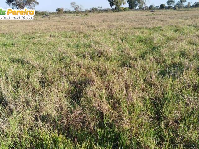 #3176 - Fazenda para Venda em Rio Negro - MS - 3