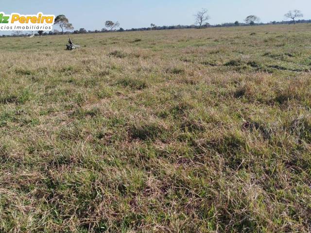 Fazenda para Venda em Rio Negro - 5
