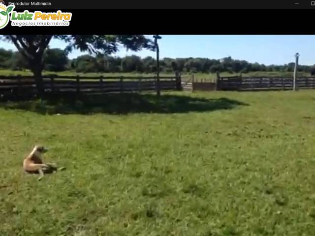 Fazenda para Venda em Poconé - 4