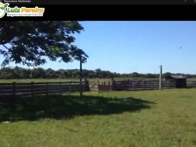 Fazenda para Venda em Poconé - 5