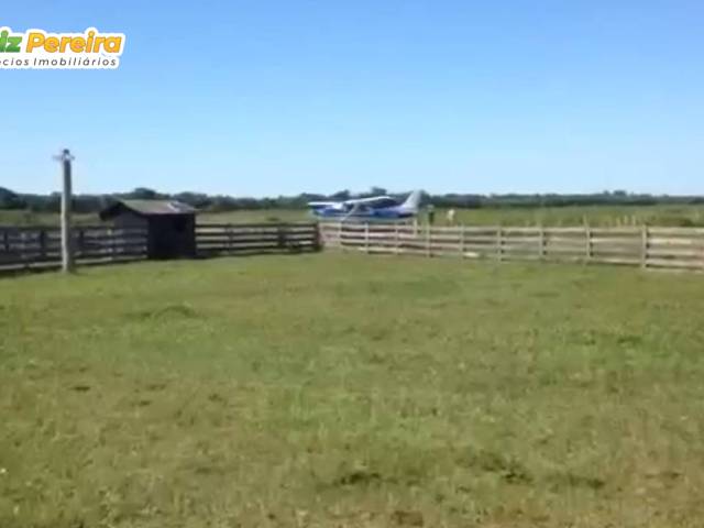 #3178 - Fazenda para Venda em Poconé - MT - 2