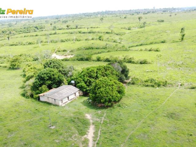 #3179 - Fazenda para Venda em Baião - PA - 3