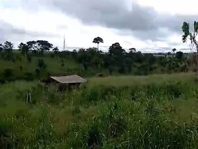 #3181 - Fazenda para Venda em Pacajá - PA - 2