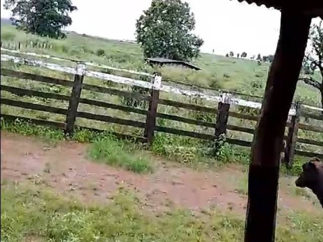 Fazenda para Venda em Pacajá - 4