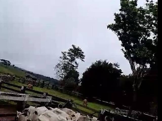 Fazenda para Venda em Pacajá - 2