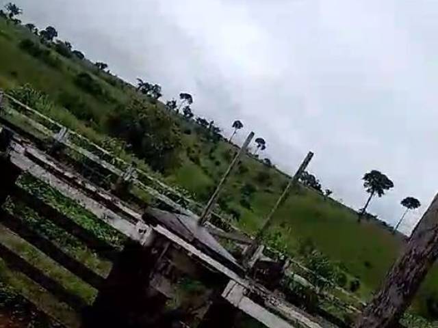Fazenda para Venda em Pacajá - 5