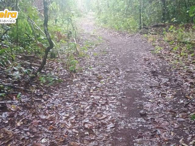 #3182 - Chácara para Venda em Carolina - MA - 2