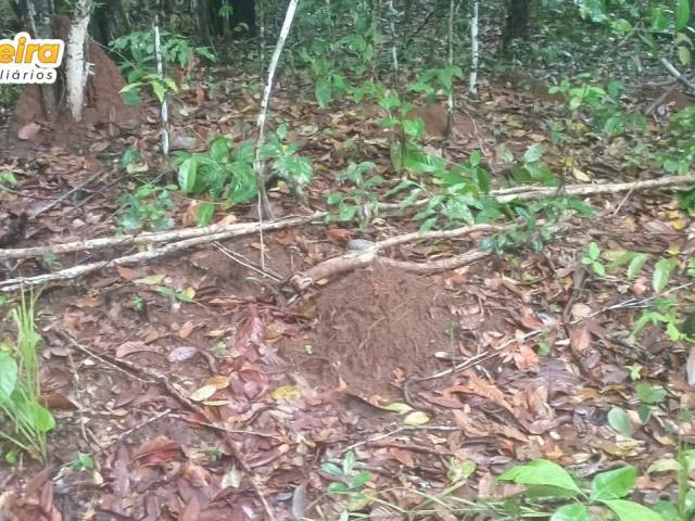 #3182 - Chácara para Venda em Carolina - MA - 3